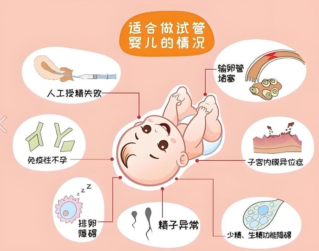 科普干货试管成功案例_试管科普干货_百科试管