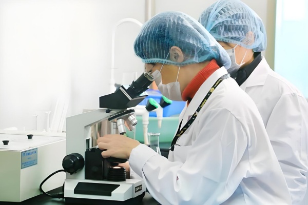 试管几代成功率对照表_三代试管成功率受什么影响_试管1代和2代3代的成功率