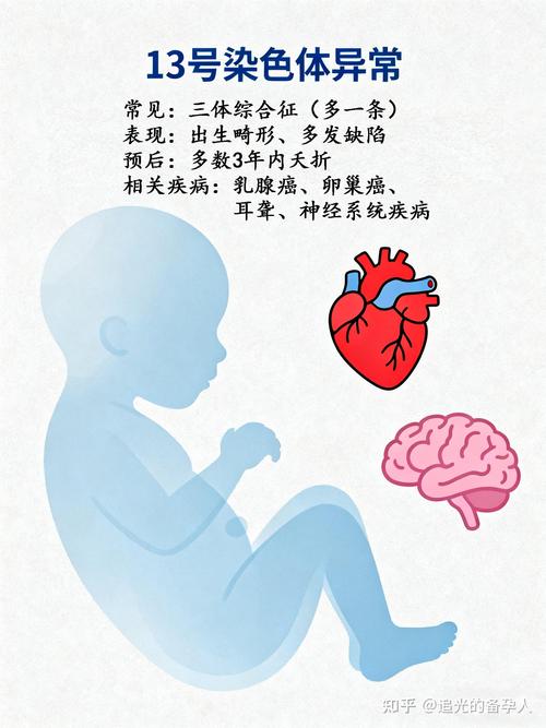 三代试管筛查范围_试管筛查是什么意思_试管婴儿筛查哪些疾病