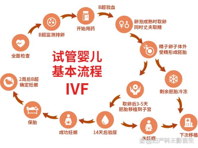 试管婴儿取卵流程详解 从术前到术后一文读懂