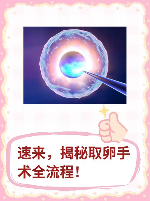 取卵操作流程_取卵操作_取卵流程