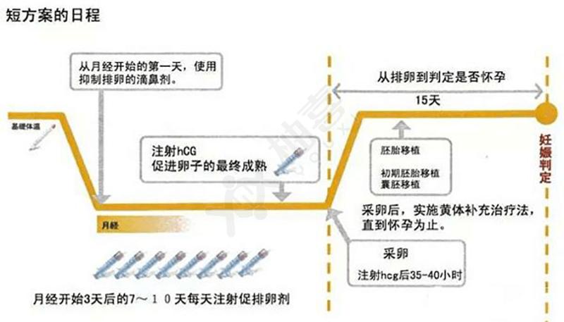 试管打针促排卵要打几天_试管一定要促排卵吗_试管促排卵