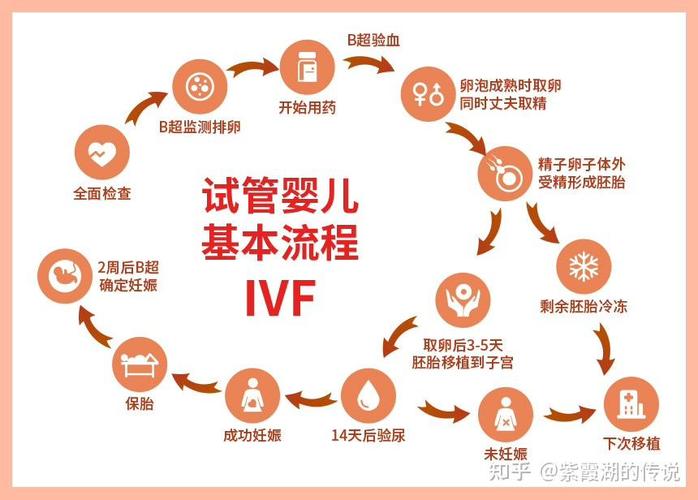 婴儿试管一共需要多少钱_科普婴儿试管婴儿视频_试管婴儿科普