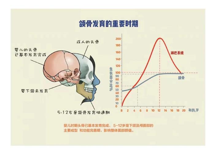 深圳换牙期牙齿错位干预_深圳换牙期牙齿错位干预_深圳换牙期牙齿错位干预