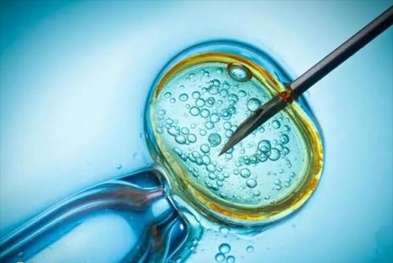 二代试管原理_试管操作的实验原理_试管婴儿基本原理