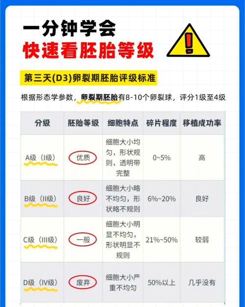 卵裂胚分级_卵裂胚评分_卵裂期胚胎质量评估指标