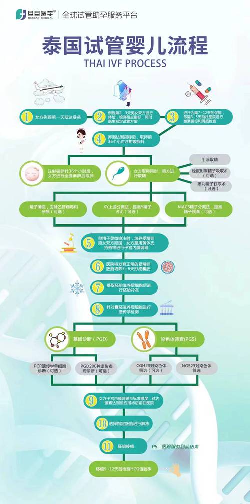 培养囊胚费用是多少_培养囊胚的成功率_囊胚培养