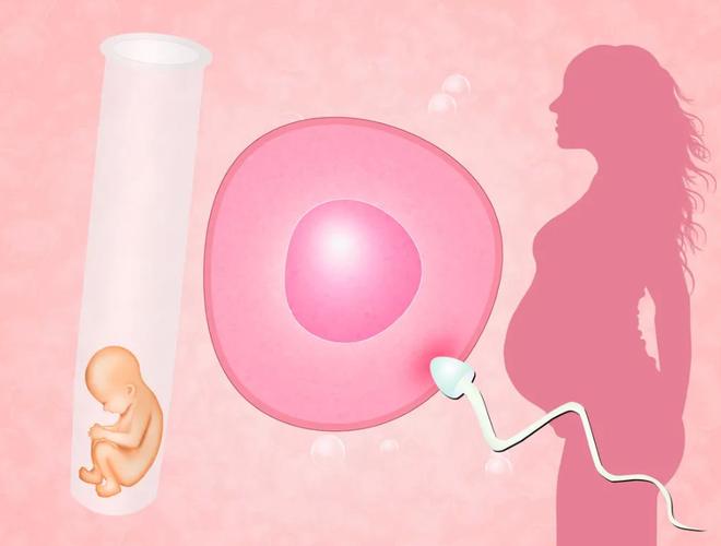 一代试管婴儿_试管婴儿的代价_试管婴儿每代的价格