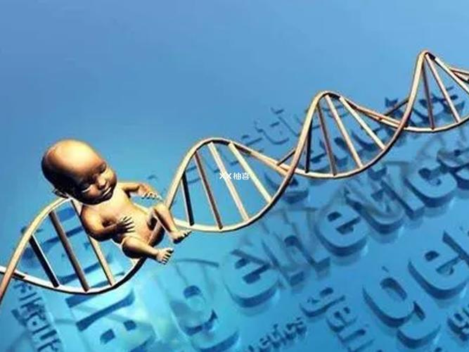 三代试管能阻断哪些遗传病_遗传性疾病可以做试管_遗传病可以阻断吗