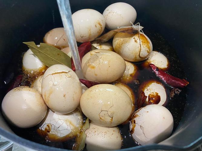 试管前调理身体的重要性_调理术试管前注意什么_试管术前调理