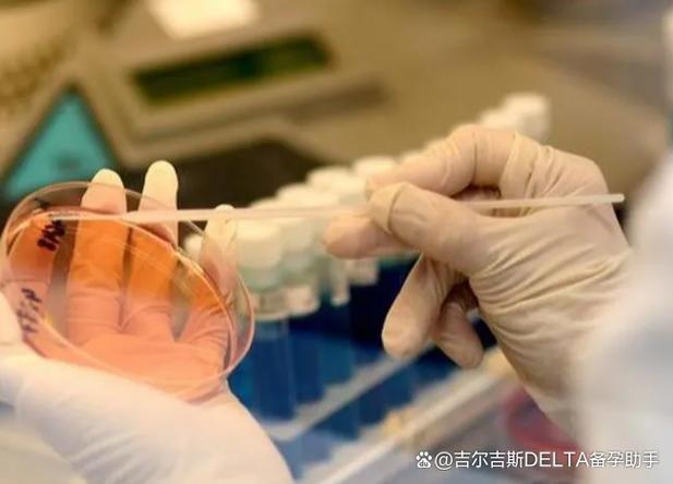 胚胎活检对胎儿有没有影响_胚胎活检_胚胎活检多久出结果