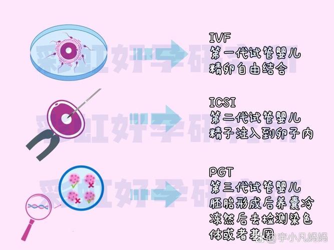 安徽试管婴儿费用_安徽三代试管 PGT 费用 参考_安徽做试管哪家