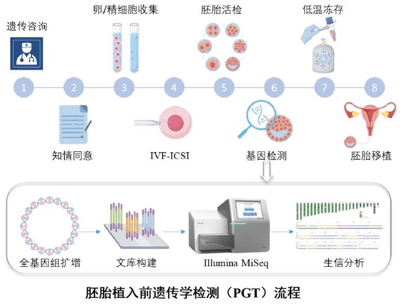 三代试管筛查项目_试管可以筛选的疾病包括_试管婴儿筛查哪些疾病