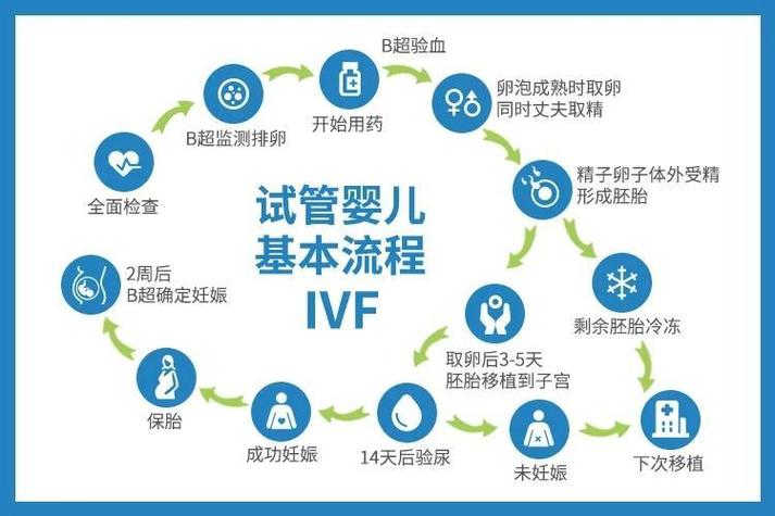 做试管前检查需要多长时间_试管术前检查_做试管的术前检查