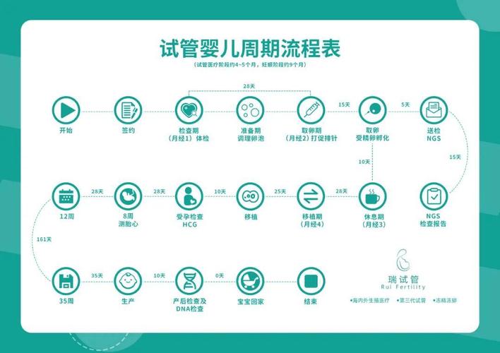 婴儿周期发育过程图片_北京试管婴儿流程步骤 时间周期_试管婴儿胎儿周期怎么算
